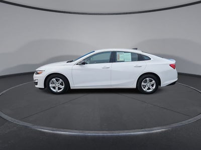 2023 Chevrolet Malibu FL